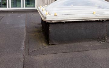disadvantages of Talbot Village flat roofs