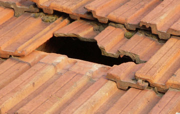 roof repair Talbot Village, Dorset