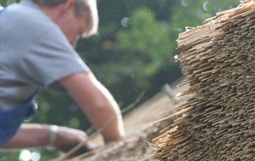 professional Talbot Village thatchers